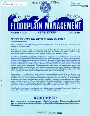 Primary view of object titled 'Floodplain Management Newsletter, Volume 9, Number 33, Autumn 1991'.