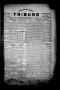 Primary view of The Lavaca County Tribune (Hallettsville, Tex.), Vol. 1, No. 66, Ed. 1 Tuesday, December 20, 1932