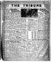 Thumbnail image of item number 1 in: 'The Tribune (Hallettsville, Tex.), Vol. 4, No. 24, Ed. 1 Friday, March 22, 1935'.
