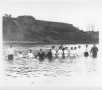 Photograph: [Group of people being baptized in river]