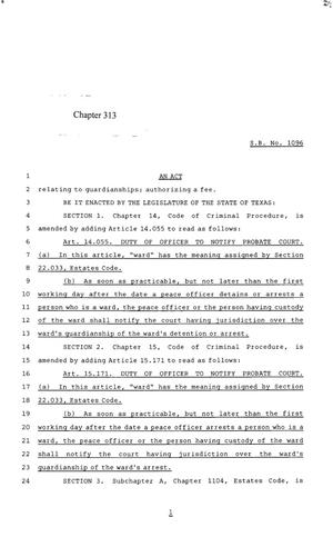 85th Texas Legislature, Regular Session, Senate Bill 1096, Chapter 313