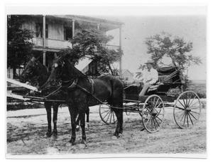 Primary view of object titled '[Portrait of Man on Horse - Drawn Wagon]'.