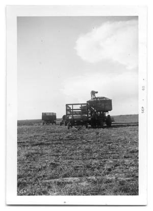 Primary view of object titled '[Cotton Picking Equipment]'.