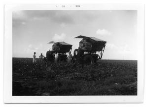 [Cotton Harvesting Equipment]