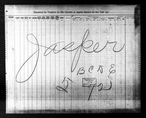 Primary view of object titled '[Jasper County, Texas Tax Roll: 1905]'.