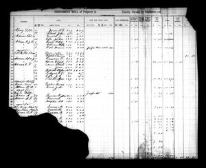 [Jasper County, Texas Tax Roll: 1883]