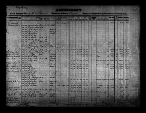 Primary view of object titled '[Jasper County, Texas Tax Roll: 1858]'.