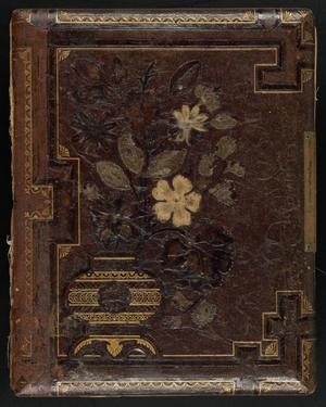 Primary view of object titled '[Allen/Brown Family Photo Album]'.