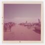 Photograph: [Large Crowd with Planes]
