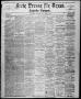 Thumbnail image of item number 1 in: 'Freie Presse für Texas. (San Antonio, Tex.), Vol. 13, No. 676, Ed. 1 Thursday, February 7, 1878'.