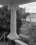 Photograph: [Ionic Columns on the E. B. Black House]