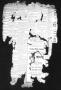 Thumbnail image of item number 3 in: 'Zavala County Sentinel (Crystal City, Tex.), Vol. [24], No. 46, Ed. 1 Friday, April 3, 1936'.