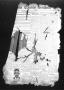 Thumbnail image of item number 1 in: 'Zavala County Sentinel (Crystal City, Tex.), Vol. [25], No. 13, Ed. 1 Friday, August 14, 1936'.