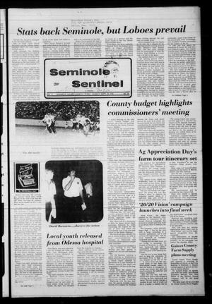 Primary view of object titled 'Seminole Sentinel (Seminole, Tex.), Vol. 71, No. 89, Ed. 1 Sunday, September 10, 1978'.