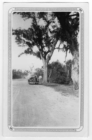 Primary view of object titled '[On The Road From Freeport To Brazoria]'.