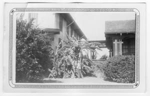 [Photo of an Unidentifed House and Garden]