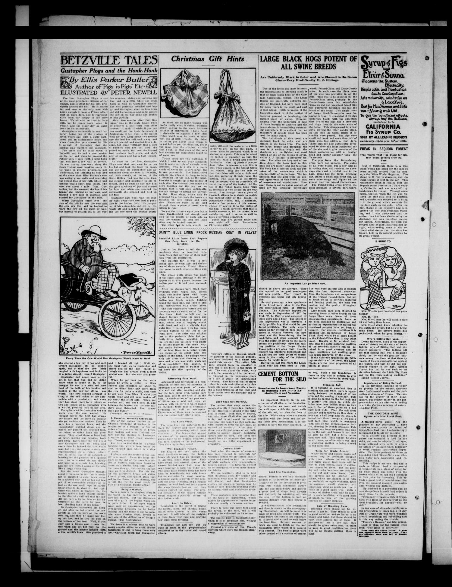 The Batesville Herald. (Batesville, Tex.), Vol. 9, No. 37, Ed. 1 Thursday, September 23, 1909
                                                
                                                    [Sequence #]: 4 of 4
                                                