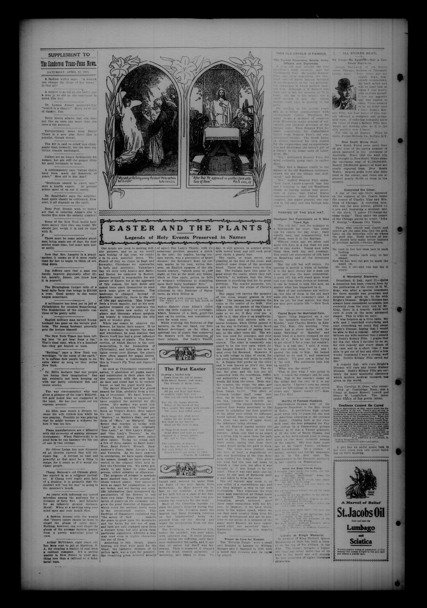 The Trans Pecos News. (Sanderson, Tex.), Vol. 3, No. 48, Ed. 1 Saturday, April 22, 1905
                                                
                                                    [Sequence #]: 4 of 6
                                                