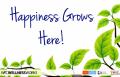Poster: Happiness Grows Here!