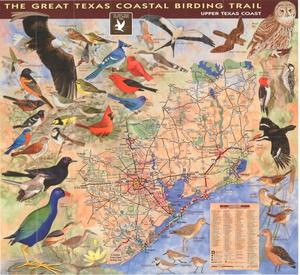 Primary view of object titled 'The Great Texas Coastal Birding Trail: Upper Texas Coast'.