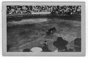 Primary view of object titled '[Bullfight at Tampico Mexico]'.