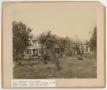 Thumbnail image of item number 1 in: '[Andrew J. Nelson Farm in the Country]'.