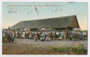 Primary view of object titled '[Packing House Near Waco]'.