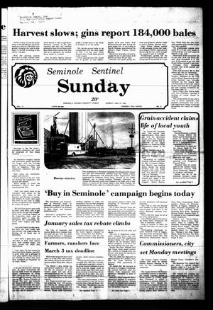 Seminole Sentinel (Seminole, Tex.), Vol. 73, No. 25, Ed. 1 Sunday, January 27, 1980