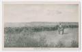 Thumbnail image of item number 1 in: '[Cattle and Cowboys]'.
