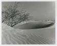 Thumbnail image of item number 1 in: '[Photograph of a Sand Dune]'.