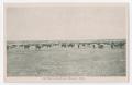 Thumbnail image of item number 1 in: '[Postcard of a Cattle Range]'.