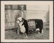 Thumbnail image of item number 1 in: '[Jim Bob Steen, Stock Show Champion]'.