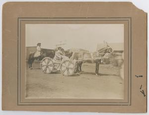 Primary view of object titled '[Goldthwaite Parade Float]'.
