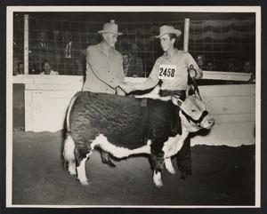 Primary view of object titled '[James Horton at Stock Show]'.