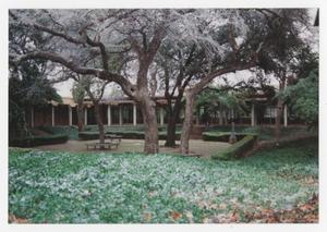 Primary view of object titled '[Denton City Hall Courtyard with Ice]'.