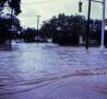 Thumbnail image of item number 1 in: '[Flooded Intersection of Congress and Carroll]'.