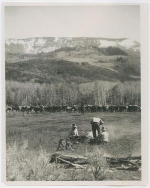 Primary view of object titled '[Branding in White River Country]'.