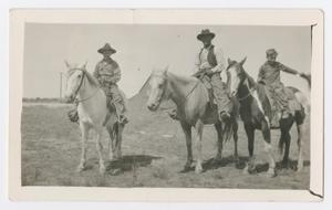 Primary view of object titled '[Bill Adams on Moon Ranch]'.