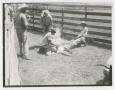 Photograph: [Cowhands Branding Calf in Corral]