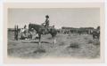 Photograph: [Cowhand on Horseback with Branding Cowhands]