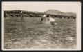 Photograph: [Four Cowhands Branding in Field]