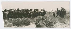 Primary view of object titled '[Cowhands with Horses]'.