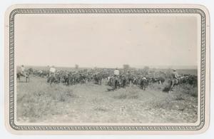Primary view of object titled '[Cowhands and Steers]'.