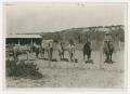 Photograph: [Horses in Corral with Cowhand]