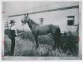 Primary view of [Peter Reeder and Prize Stallion]