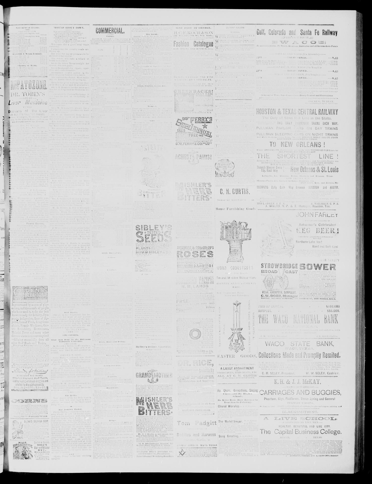 Waco Daily Examiner (Waco, Tex), Vol. 18, No. 85, Ed. 1, Sunday, February 8, 1885
                                                
                                                    [Sequence #]: 3 of 4
                                                