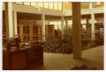 Photograph: [Atrium at the Emily Fowler Library looking northeast]