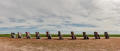Primary view of Panoramic View of Cadillac Ranch