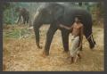 Primary view of [Man with Elephant]