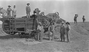 Primary view of object titled '[Washburn Wheat Harvest Crew]'.